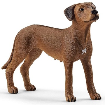 SLH13895 Schleich Farm World Pies rasa Rhodesian Ridgeback, figurka 3+