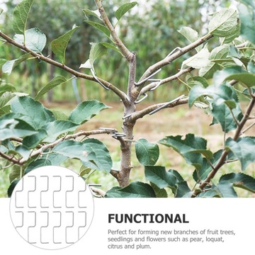 Устройство для формирования ветвей плодовых деревьев. Разбрасыватели конечностей растений