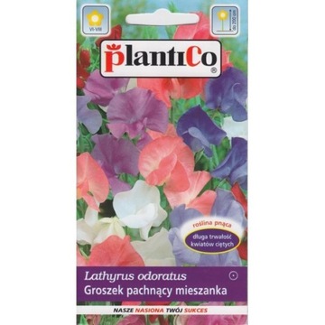 GROSZEK PACHNĄCY MIX 1G