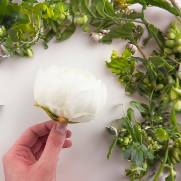 ПИОН ПРОДУКТ ПИОН ПИОН ЦВЕТОК ГОЛОВКА ДЛЯ СВЯЗОК СЛОВ