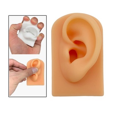 Модель уха Силиконовое искусственное ухо Модель уха