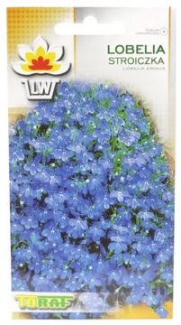 LOBELIA STROICZKA Toraf
