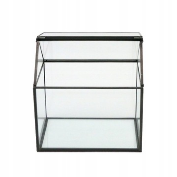 стеклянная теплица - Дом