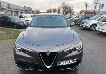 Alfa Romeo Stelvio SUV Facelifting 2.0 Turbo 200KM 2021 Alfa Romeo Stelvio Alfa Romeo Stelvio 2.0 Benzyna 201KM, zdjęcie 2