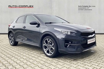 Kia XCeed Crossover 1.6 T-GDI 204KM 2021 Kia XCeed Bussines Line 1,6T moc 205 KM Salon PL 1.6 Benzyna 204KM, zdjęcie 6