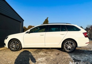 Skoda Octavia III Kombi Facelifting 2.0 TDI 184KM 2020 Skoda Octavia Bezwypadkowa, FV23, 4x4, DSG, KredytowanieLeasing, gw.12m ge, zdjęcie 5