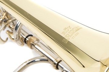 ROY BENSON TT-220 Детский тромбон Bb/C