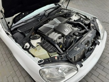 Mercedes Klasa S W220 2001 Mercedes S 600 LONG Biały W12 365KM Gotowy do, zdjęcie 11