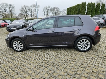 Volkswagen Golf VII Hatchback 3d 1.4 TSI BlueMotion Technology 125KM 2015 Volkswagen Golf 1,4 benzyna 125KM nawigacja kamera, zdjęcie 8
