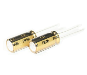 NICHICON FW 100uF/100V DO AUDIO - 2 sztuki (#757)