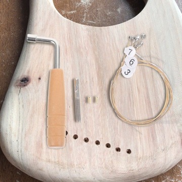 HARTED INSTRUMENTS ПРОФЕССИОНАЛЬНАЯ ЧАСТЬ ЛИРЫ