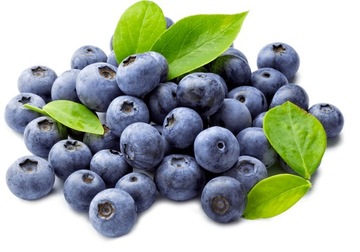 БОЛЬШОЙ ЭФФЕКТИВНЫЙ СБОРНИК ДЛЯ ЧЕРНИКИ + ПЕРЧАТКИ