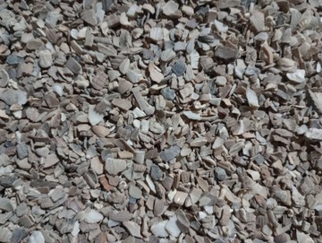 Naturalne Muszle morskie dla kur niosek drobiu 25 kg