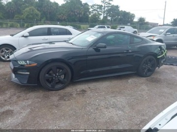 Ford Mustang VI 2022 Ford Mustang Ecoboost Fastback 2022 2.3l 2.3 Benzyna 310KM, zdjęcie 2