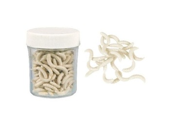 Sztuczne robaki białe Konger Maggot