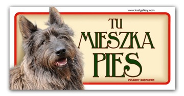OWCZAREK PIKARDYJSKI tabliczka