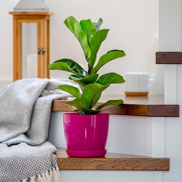 DONICZKA Z PODSTAWKĄ PLASTIKOWA OSŁONKA DONICA 20cm RÓŻOWA NA KWIATY KADAX