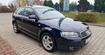Audi A3 8P Hatchback 3d 2.0 FSI 150KM 2003 Audi A3 3-drzwiowe Audi A3 3-drzwiowe 2.0 FSI Attraction 2.0 Benzyna 150KM, zdjęcie 2