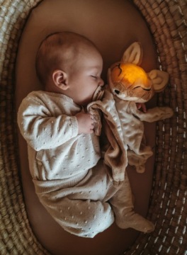 Механизм Szumisie Dou Dou Lisek 5в1