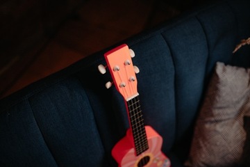 Сопрано укулеле Pink Meadow Case Медиаторы Набор аккордов Reed