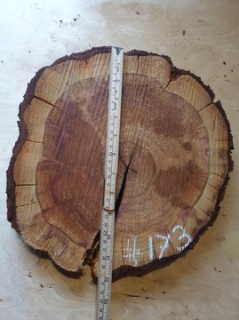 Диски из смолы Mirabelle Wood Slices 30x30 Gr4