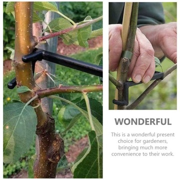 ИНСТРУМЕНТ В ФОРМЕ ВЕТКИ, КРОНШТЕЙН ПЛОДОВОГО ДЕРЕВА