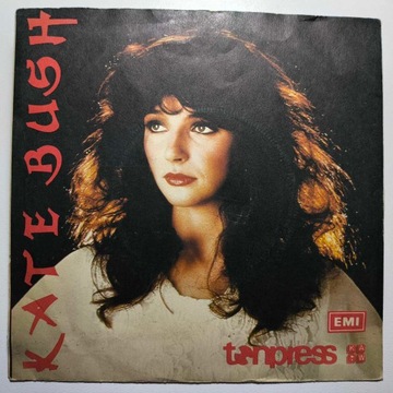 Kate Bush The Man With The Child In His Eyes 7'' Single 78'