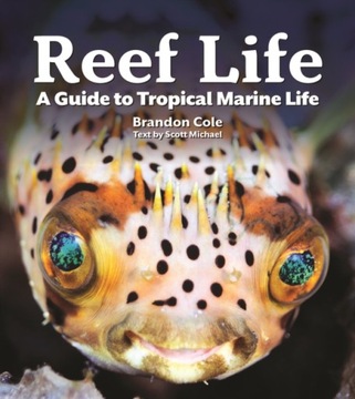 Reef Life : A Guide to Tropical Marine Life / Michael Scott