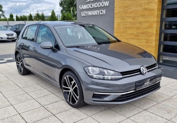 Volkswagen Golf VII Hatchback 3d Facelifting 1.0 TSI 85KM 2019 Volkswagen Golf TSI Klima Tempomat Serwis Niem..., zdjęcie 6