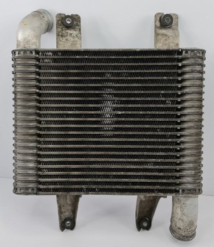 CHLADIČ INTERCOOLER HYUNDAI TERRACAN 2.9 CRDI