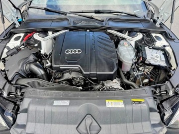 Audi A5 F5 2021 Audi A5 Coupe Premium Plus 45 2021 2.0 Benzyna 261KM, zdjęcie 6