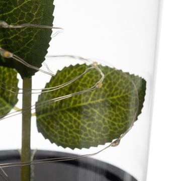 Вечная роза в стеклянной подарочной упаковке светодиодного освещения ко Дню матери