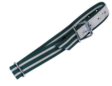 Obroża dla cieląt Classic 85 x 4 cm biało-zielona