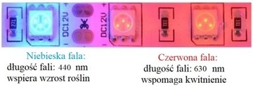 КОМПЛЕКТ светодиодного освещения GROW для роста растений 2м