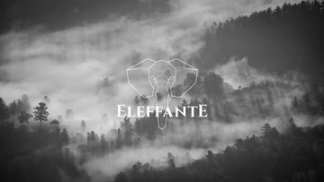 ПЕРЧАТКИ ROCDAY FLOW ЧЕРНЫЕ XL ELEFFANTE