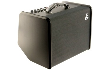 Усилитель Godin Acoustic Solutions ASG-8 120