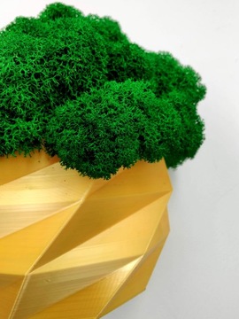 Вазон с мхом хроботек, 18 см, мох хроботек в золотом горшке, 3D печать