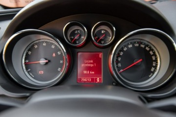 Opel Insignia I Sports Tourer 2.0 Turbo ECOTEC 220KM 2009 Opel Insignia COSMO ! 2,0T 220KM ! Super Stan, zdjęcie 28