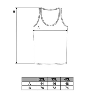 3x DAMSKI Tank TOP Bawełniany Moraj Podkoszulka Zestaw Komplet 3szt r. XXL