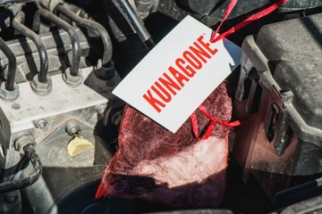 ОТПУСКАТЕЛЬ КУРИЦЫ ДРУГИХ ГРЫЗУНОВ КУНАГОНЕ 1 шт.