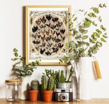 ДИАТОМИТ - ДИАТОТ ЗЕМЛЯ ПОЛЬША 20КГ