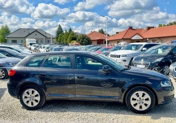 Audi A3 8P Hatchback 3d 1.6 102KM 2008 Audi A3 Sportback 1.6 MPI 102KM skory PDC cliamtronic tempoamt alu grzane, zdjęcie 2