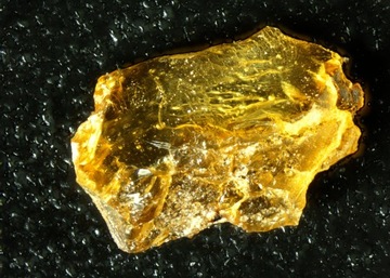 Микроскоп Delta Optical Biolight 100 белый, 5 препаратов