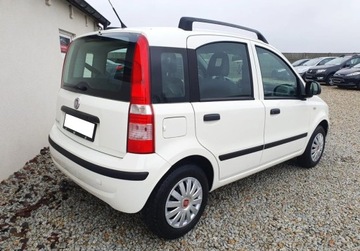 Fiat Panda II Hatchback 5d 1.2 69KM 2011 Fiat Panda Lift SLICZNA 1.2 Benzyna BOGATSZA W..., zdjęcie 3