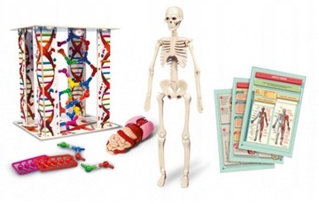 ТЕЛО ЧЕЛОВЕКА MINI CLEMENTONI 50515