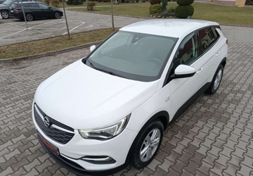 Opel 2018 Opel Grandland X Pierwszy wlasciciel - bezwypadkowy - serwisowany - polecam, zdjęcie 3