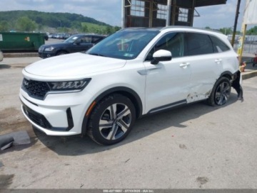 Kia Sorento IV 2024 Kia Sorento 2024 KIA SORENTO HYBRID EX 1.6 Hybryda 177KM, zdjęcie 2