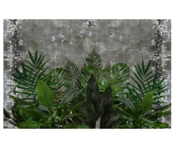 Fototapeta 460x300cm Beton zielone liście retro