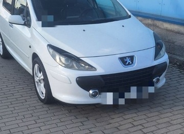 Колпачки фонарей Peugeot 307 facelift 2005 - 2008 г.в. абс пластик