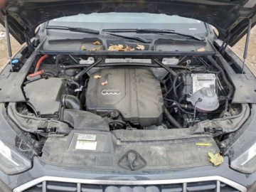 Audi Q5 II 2024 Audi Q5 Premium 40 2024 2.0l 2.0 Benzyna 201KM, zdjęcie 6